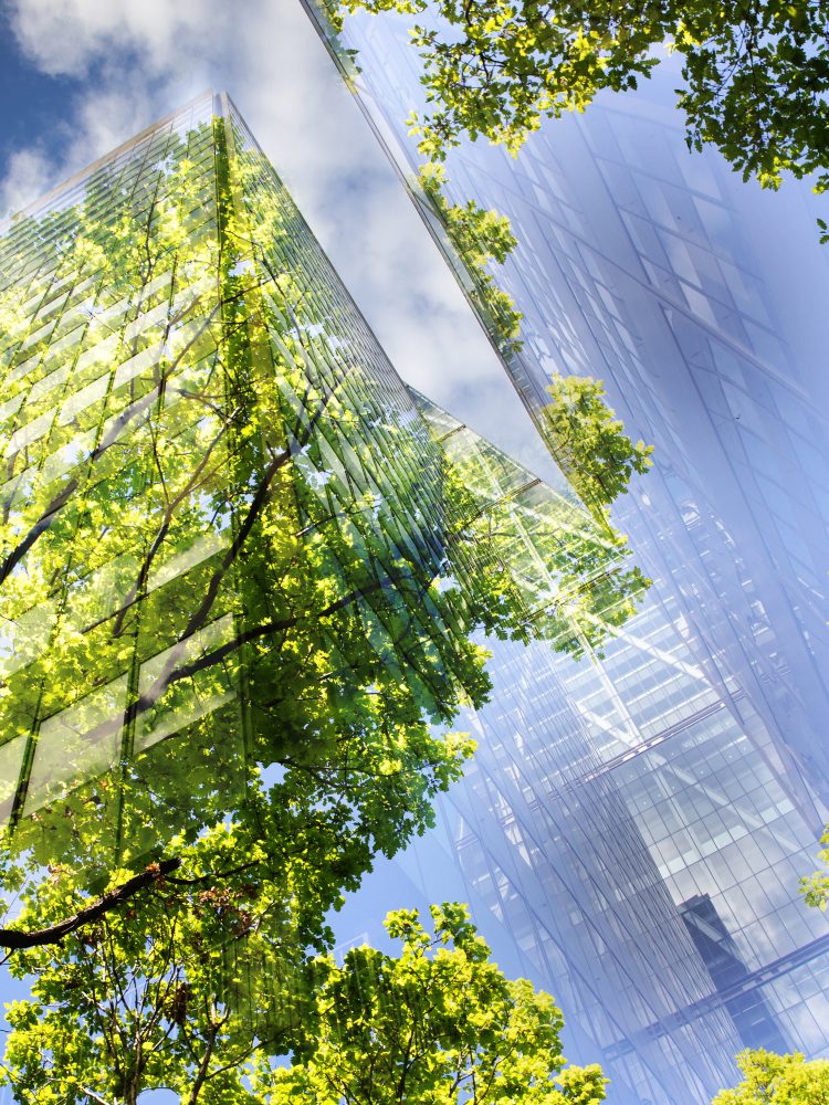 green city - double exposure of lush green forest and modern sky