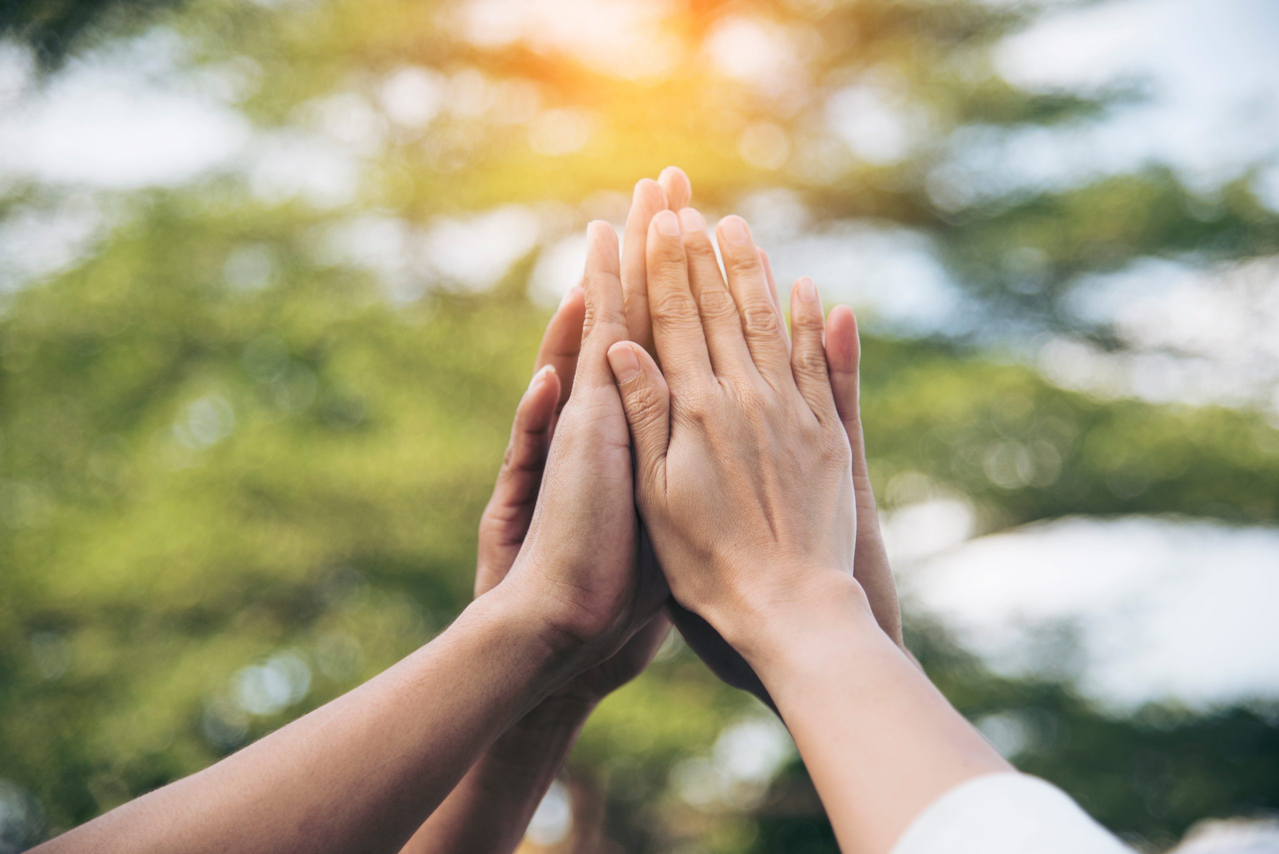 Teamwork high five as team together hands air greeting  power ta