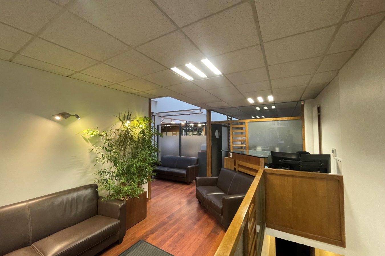photo-1