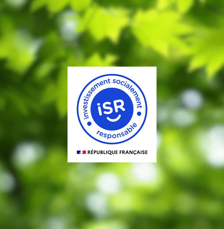 Logo ISR site AREM 2025